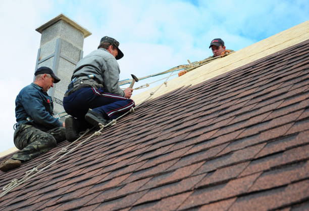 Best Gutter Installation and Roofing  in Algonquin, MD